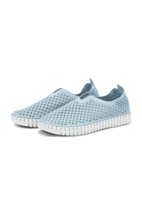 Ash Blue Tulip 139 Slip On Shoe