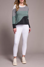 Load image into Gallery viewer, Silver Pine Printed Jacquard Sweater
