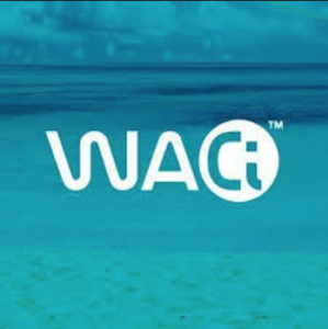 WACi Sand Resistant Towel no